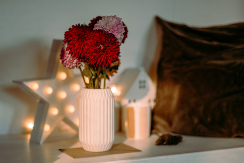 Cozy Online Shop